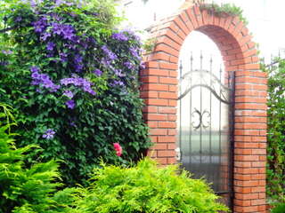 Гостиница Дельта Полесск-4