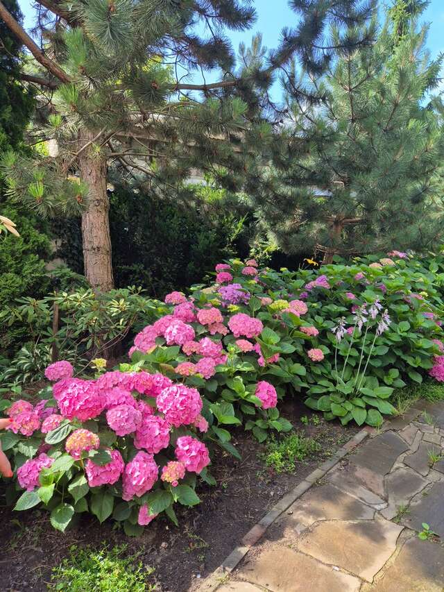 Гостиница Дельта Полесск-12