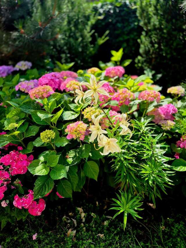 Гостиница Дельта Полесск-17