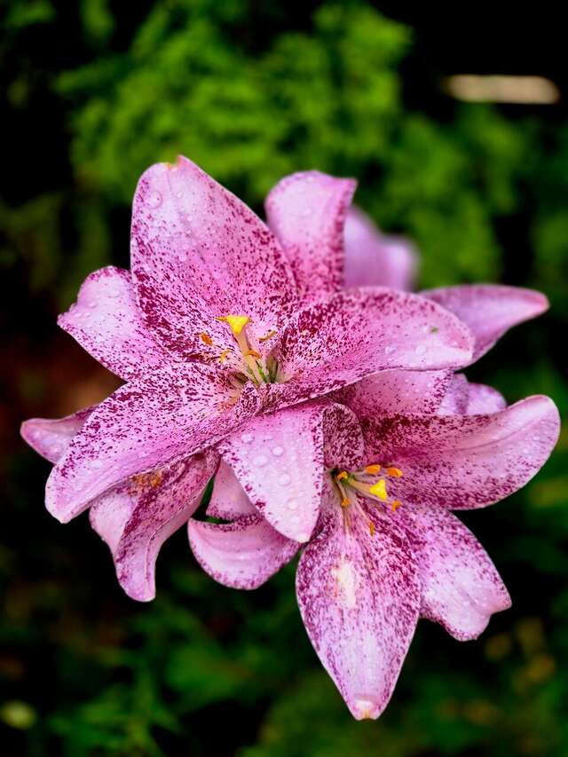 Гостиница Дельта Полесск-15