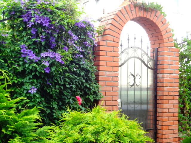 Гостиница Дельта Полесск-7